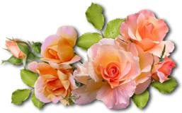 Image15 (257x160, 91Kb)